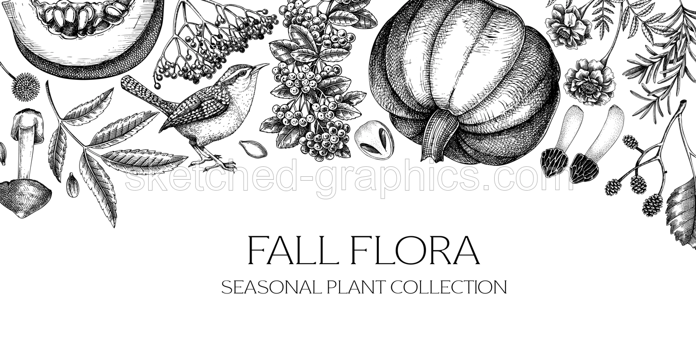 Vintage autumn background. Fall leaves, pumpkins, berries, mushrooms sketches. botanical border. Hand-drawn vector illustration NOT AI generated Illustration